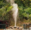 The World's only hot soda water geyser - Te Aroha
