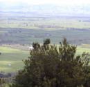 View of Te Aroha countryside
